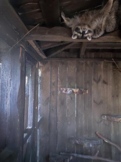 Когда прогуливаешь тренировку, делай это максимально эффективно! 08