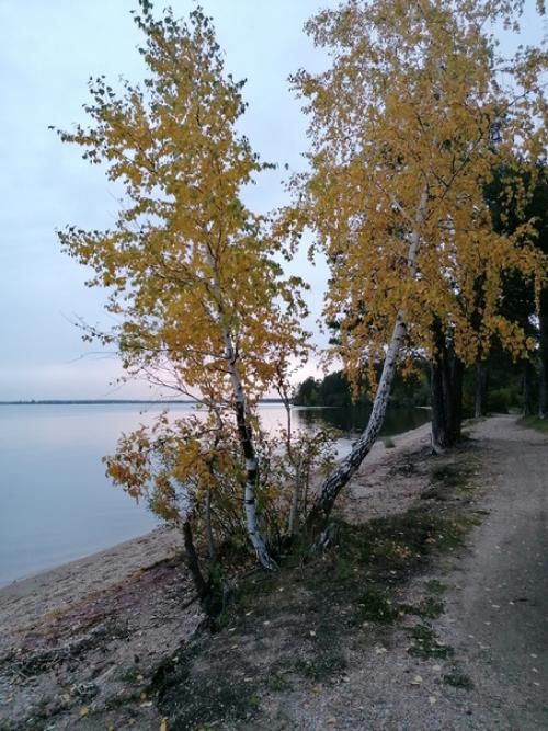 Продолжение темы бега. 03