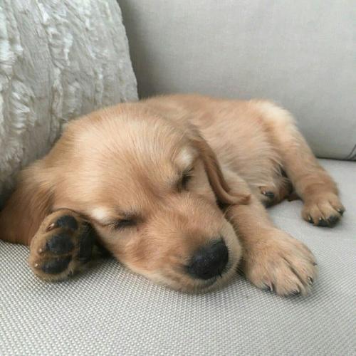 Эффективные способы от стресса избавиться? 03