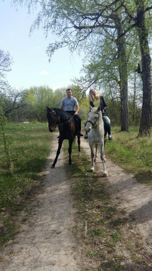 Как лошади спасают от депрессии. 01