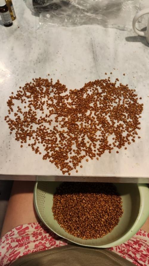 Ну что ж, этот год для меня оказался довольно сложным, насыщенным разными неожидоностями, приятными и не очень, и даже очень неприятными. 03 Ну что ж, этот год для меня оказался довольно сложным, насыщенным разными неожидоностями, приятными и не очень, и даже очень неприятными. 03