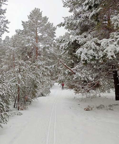 Очень важно делать из происходящего выводы. 06 Очень важно делать из происходящего выводы. 06