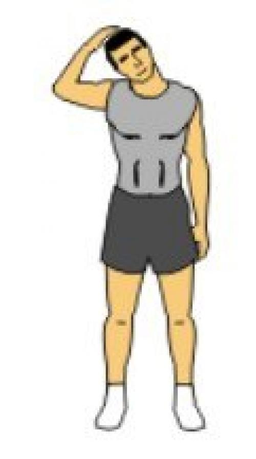 Разминка перед тренировкой - это важный структурный компонент, которым многие новички (да и не только они) пренебрегают в тренажерном зале. 06 Разминка перед тренировкой - это важный структурный компонент, которым многие новички (да и не только они) пренебрегают в тренажерном зале. 06