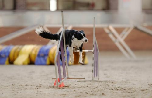 Еще раз про фитнес.  