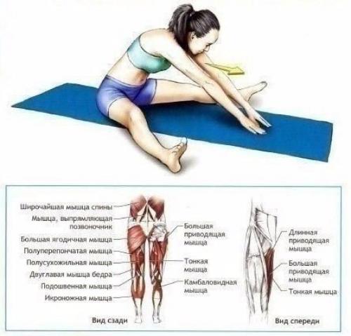 Отличный комплекс для тех, кто хочет сесть на шпагат? 02