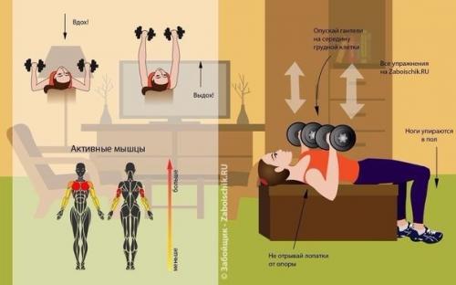 Мы тренируем все группы мышц в домашних условиях? 05
