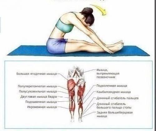 Отличный комплекс для тех, кто хочет сесть на шпагат? 03