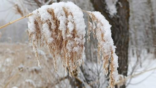 Очень важно делать из происходящего выводы. 03 Очень важно делать из происходящего выводы. 03