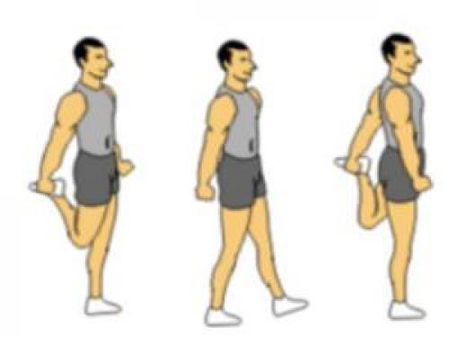 Разминка перед тренировкой - это важный структурный компонент, которым многие новички (да и не только они) пренебрегают в тренажерном зале. 04 Разминка перед тренировкой - это важный структурный компонент, которым многие новички (да и не только они) пренебрегают в тренажерном зале. 04