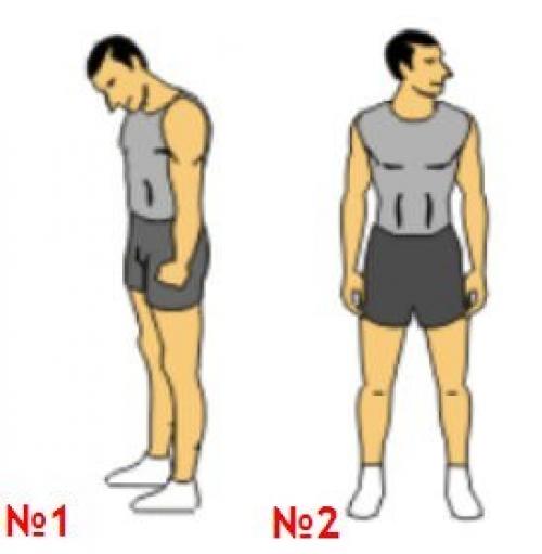 Разминка перед тренировкой - это важный структурный компонент, которым многие новички (да и не только они) пренебрегают в тренажерном зале. 02 Разминка перед тренировкой - это важный структурный компонент, которым многие новички (да и не только они) пренебрегают в тренажерном зале. 02