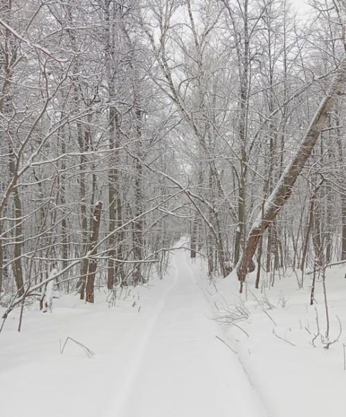 Очень важно делать из происходящего выводы. 04 Очень важно делать из происходящего выводы. 04