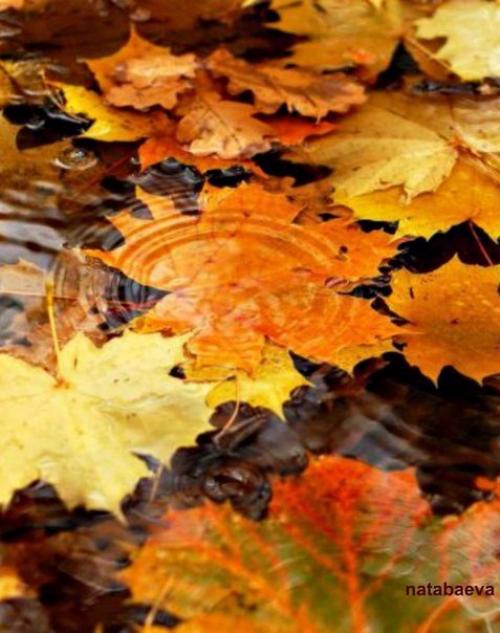 Доброе утро. Кто сказал. 03