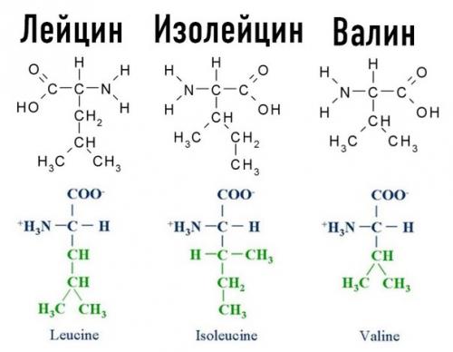 Почему Bcaa - это просто Хайп. 01 Почему Bcaa - это просто Хайп. 01