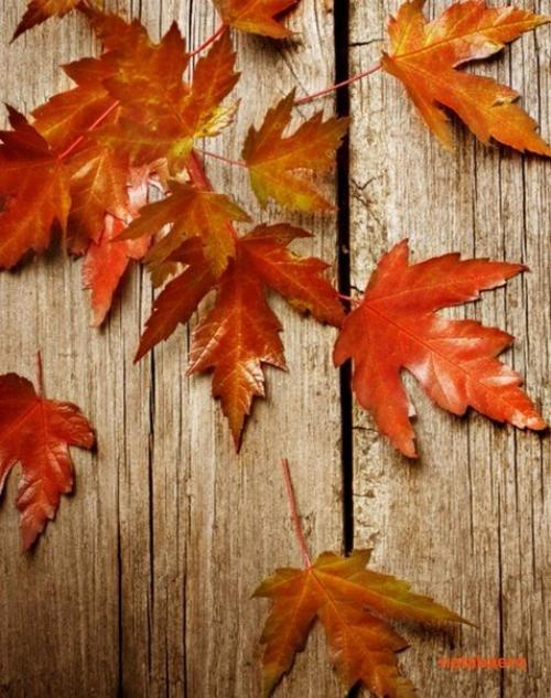 Доброе утро. Кто сказал. 02