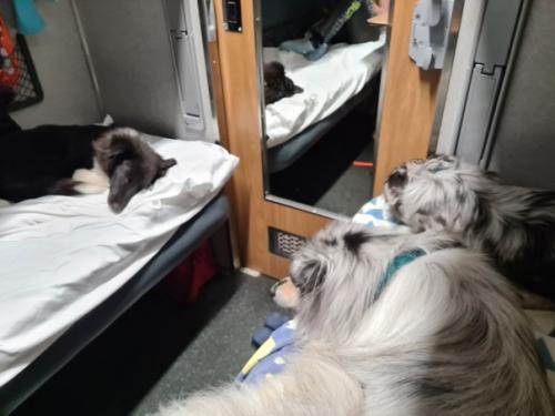 Поездка в Екатеринбург.  Самой главной целью поездки было обследование девочек на дисплазию. 07