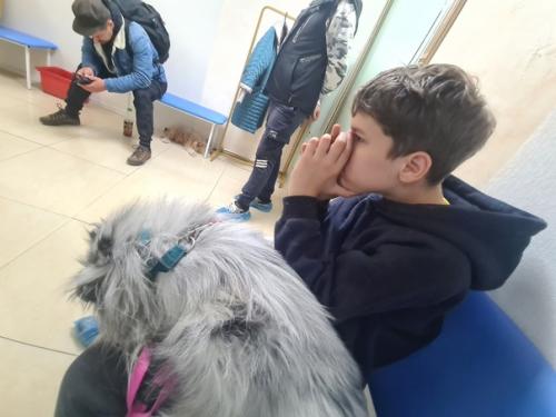 Поездка в Екатеринбург.  Самой главной целью поездки было обследование девочек на дисплазию. 03