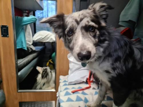 Поездка в Екатеринбург.  Самой главной целью поездки было обследование девочек на дисплазию. 06