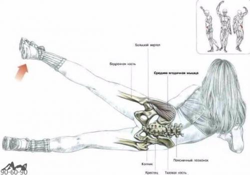 Все о тренинге ягодиц! 05 Все о тренинге ягодиц! 05