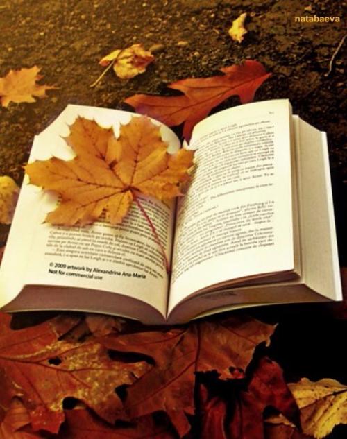 Доброе утро. Кто сказал. 05