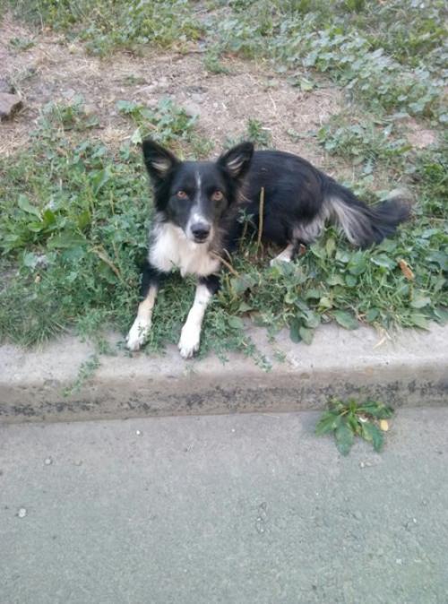 Очень нужна ваша помощь! 03 Очень нужна ваша помощь! 03