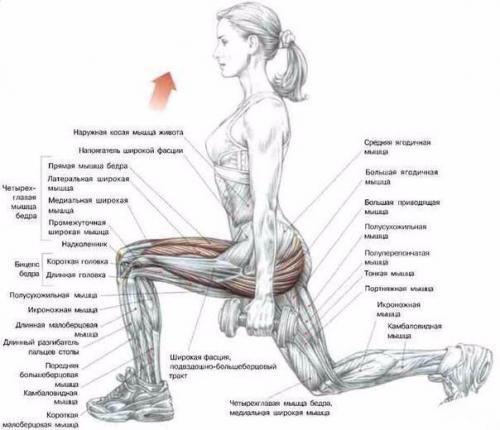 Все о тренинге ягодиц! 02 Все о тренинге ягодиц! 02