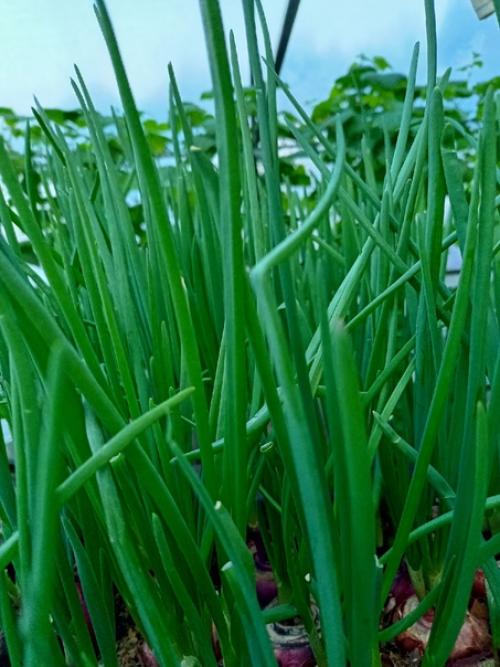 В каждой работе мы новые навыки приобретаем. 01