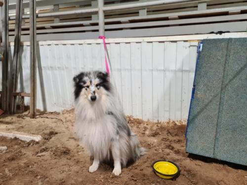 Поездка в Екатеринбург.  Самой главной целью поездки было обследование девочек на дисплазию. 05