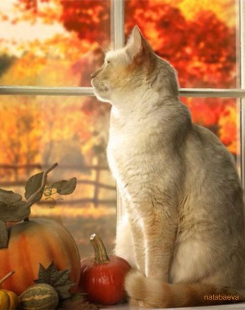 Доброе утро. Кто сказал. 04