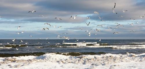 Выходные в риге с проживанием в отеле Radisson Blu Daugava 4* из Минска от компании Maketravel? 03 Выходные в риге с проживанием в отеле Radisson Blu Daugava 4* из Минска от компании Maketravel? 03