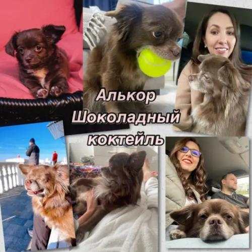Ваш секрет стройности - не на кухне. Ваш секрет стройности - не на кухне.