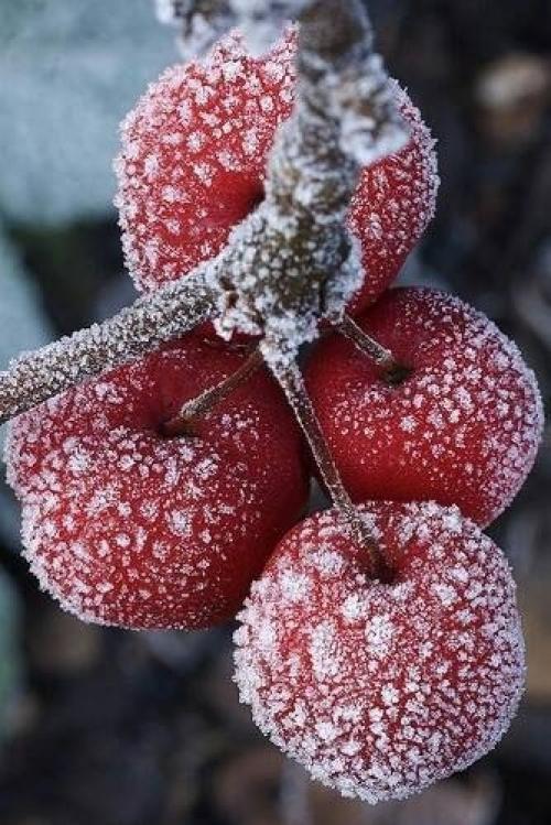 Доброе утро. Надела лучшую улыбку. 01