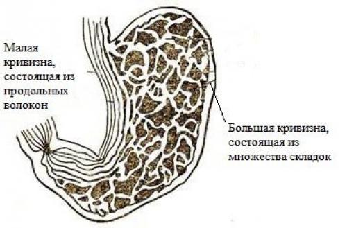 Можно ли пить во время тренировки (или ужасы современной диетологии). 01