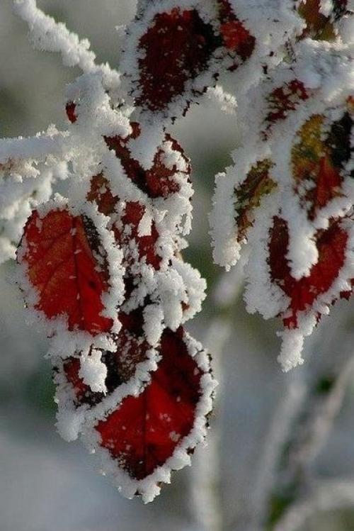 Доброе утро. Надела лучшую улыбку. 02