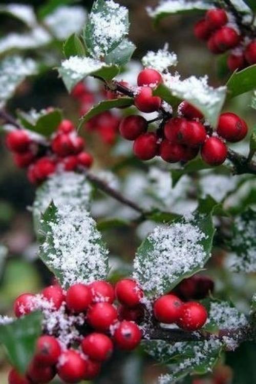 Доброе утро. Надела лучшую улыбку. 05