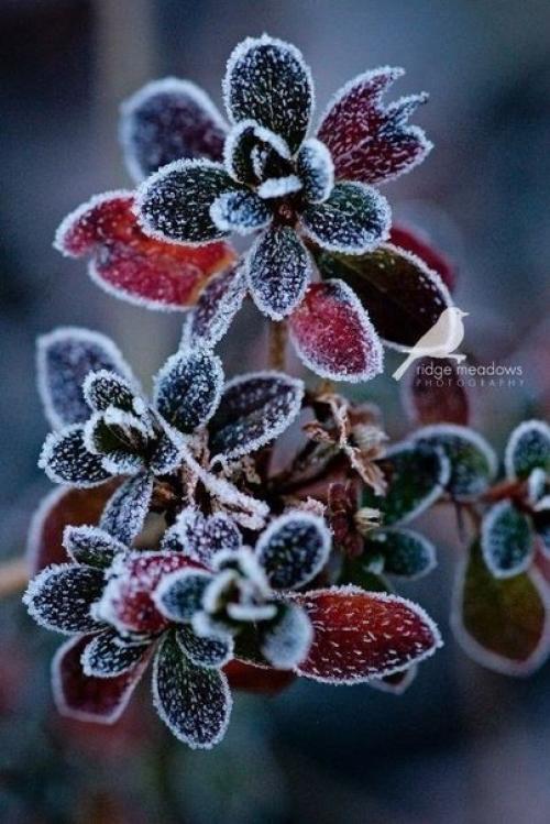 Доброе утро. Надела лучшую улыбку. 04