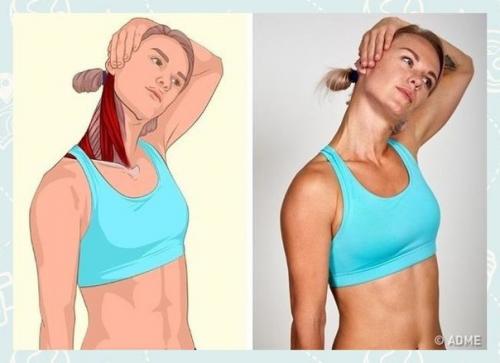 Fitness Life - с нами сможешь. 01