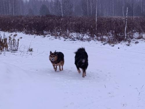 А в деревне дел немало, а в деревне много дел. 02 А в деревне дел немало, а в деревне много дел. 02