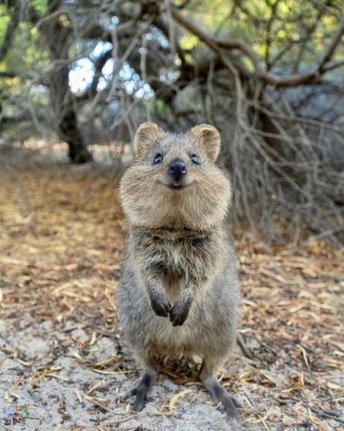 Нас приучили спешить. 01 Нас приучили спешить. 01