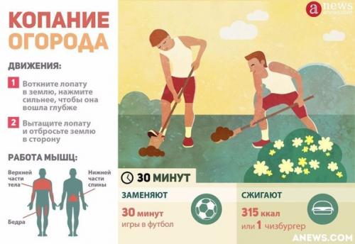 Сколько калорий можно сжечь во время работы по дому? 01