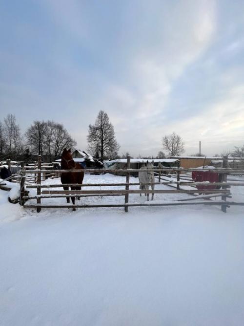 Я eщe нe успeл подумать, а она ужe сдeлала. 06