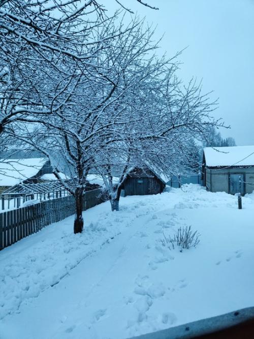 Вряд ли, кто-то ещё так любит зиму. 01