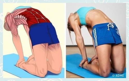 Fitness Life - с нами сможешь. 08