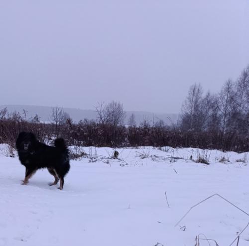А в деревне дел немало, а в деревне много дел. 01 А в деревне дел немало, а в деревне много дел. 01
