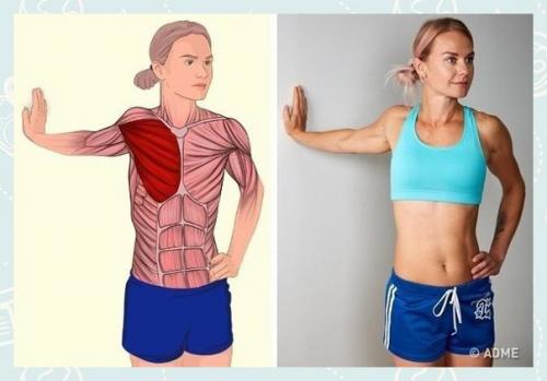 Fitness Life - с нами сможешь. 02