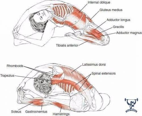 Растяжка всего тела. 04
