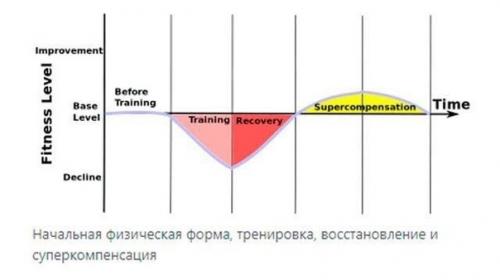 Сколько раз тренироваться в неделю нужно? 01