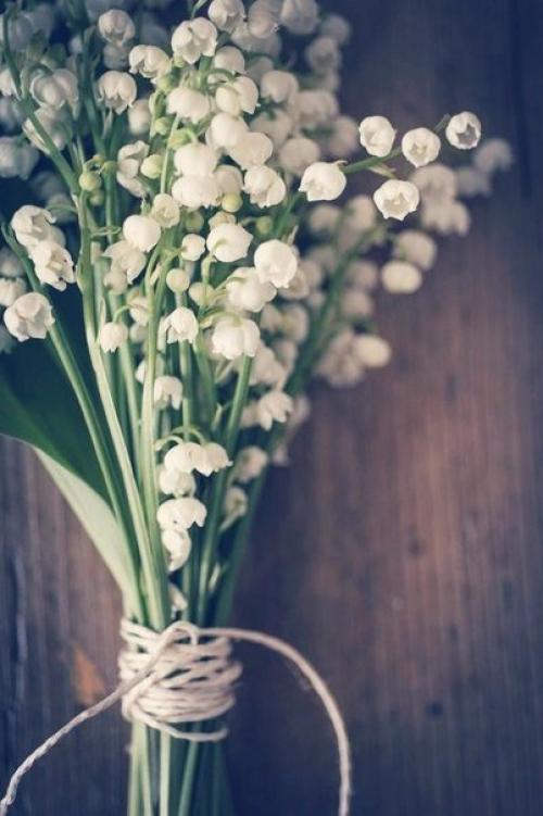 Доброе утро. Что женщина хочет? 05