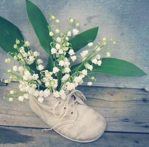 Доброе утро. Что женщина хочет? 01