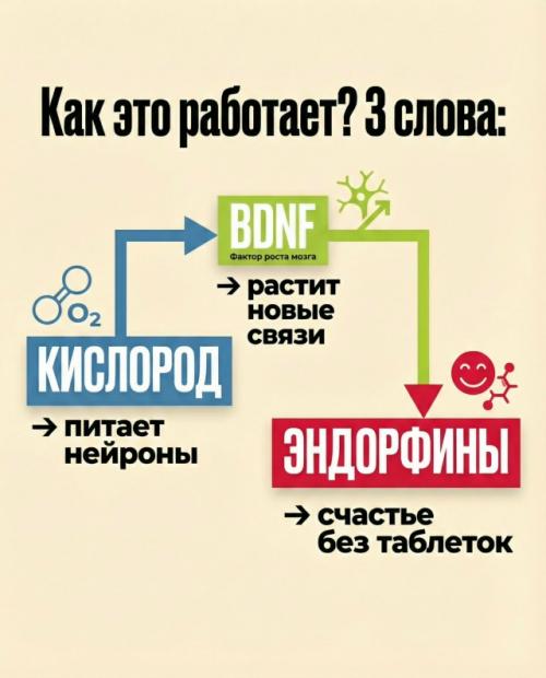 Пока ты долго сидишь, страдают и мозг, и вены. 02