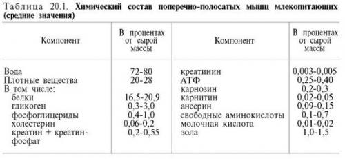 Гипертрофия мышц - просто и доходчиво? 03